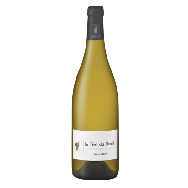 LE FIEF DU BREIL 2018
